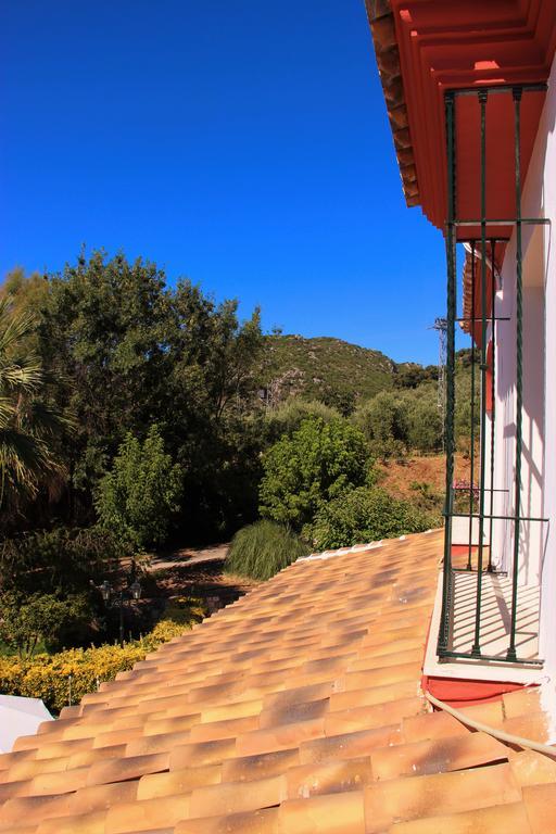 Hostal La Zamora Carcabuey Esterno foto